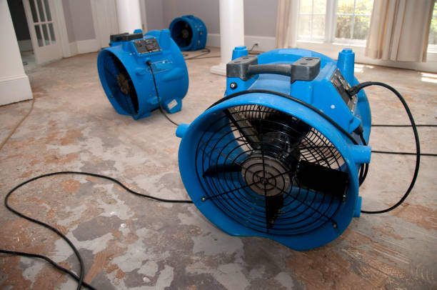 Best Ceiling water damage repair  in Montgomery, IN