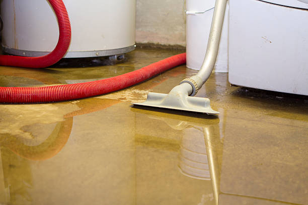 Best Professional water damage repair  in Montgomery, IN