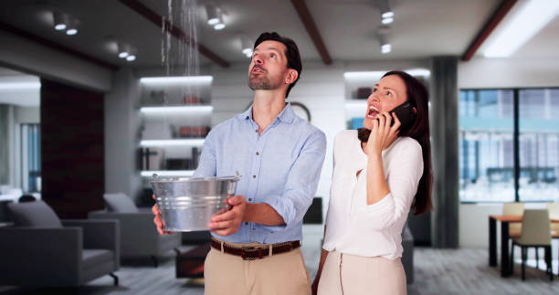 Best 24/7 water damage repair  in Montgomery, IN